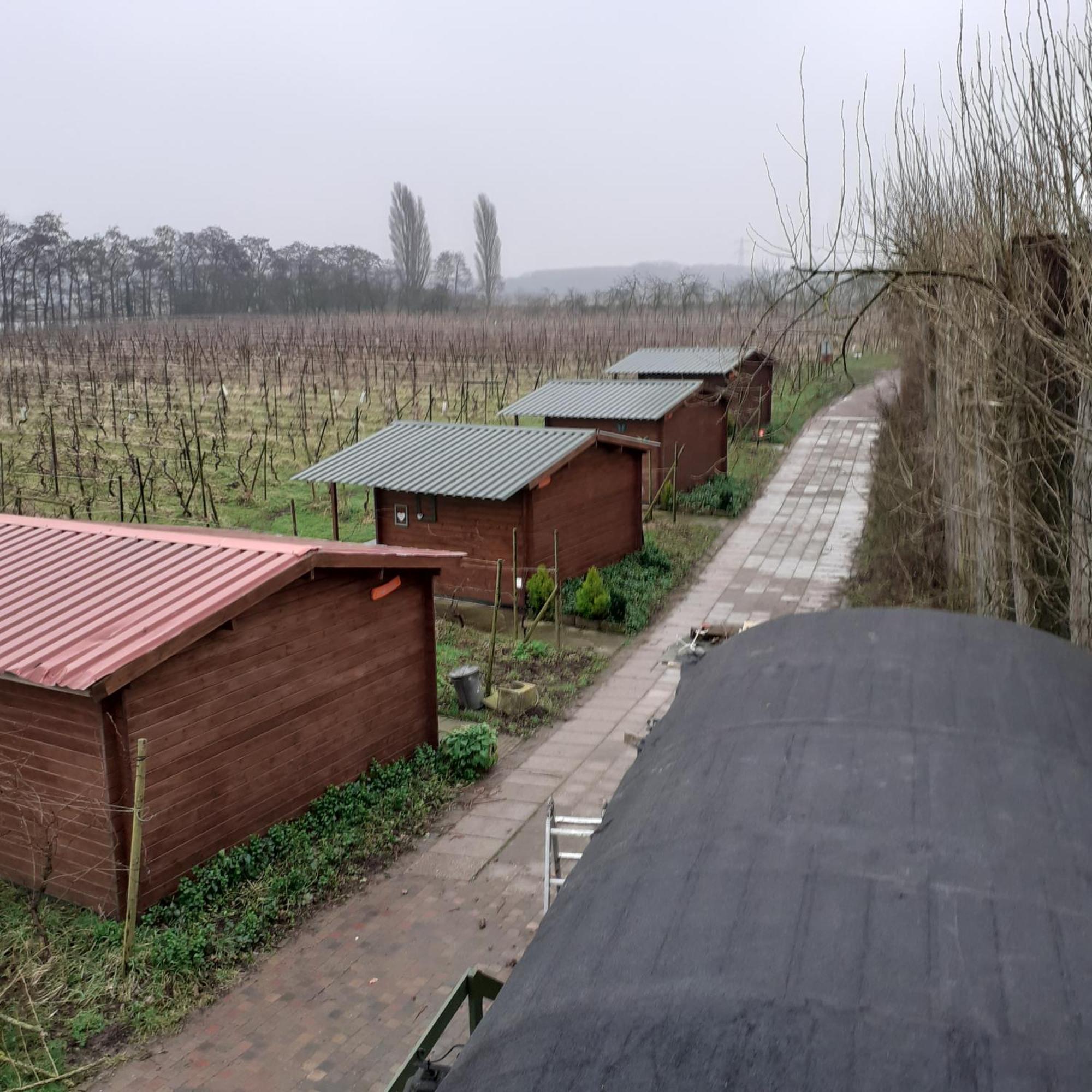 Wijndomein De Vier Ambachten -Overnachten In De Wijngaard Simonshaven Eksteriør billede